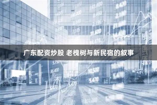 广东配资炒股 老槐树与新民宿的叙事