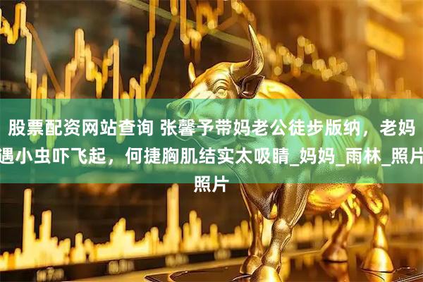 股票配资网站查询 张馨予带妈老公徒步版纳，老妈遇小虫吓飞起，何捷胸肌结实太吸睛_妈妈_雨林_照片