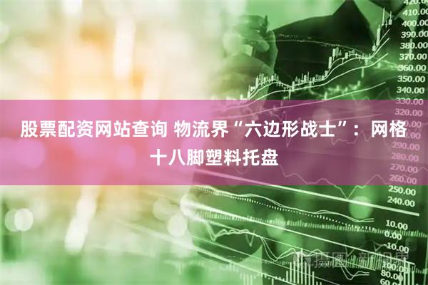 股票配资网站查询 物流界“六边形战士”：网格十八脚塑料托盘